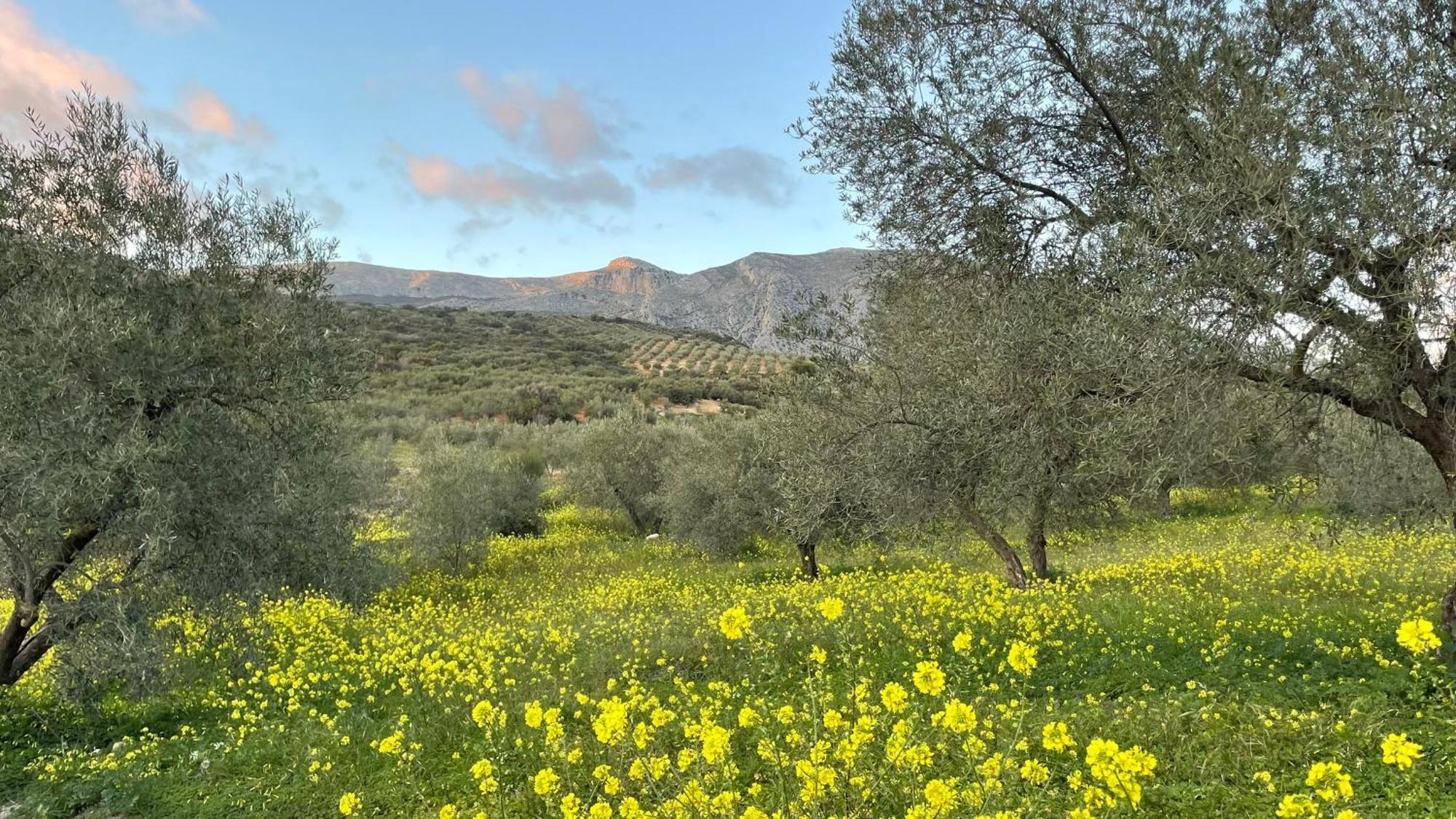 Finca Valle Verde Эль-Чорро Экстерьер фото