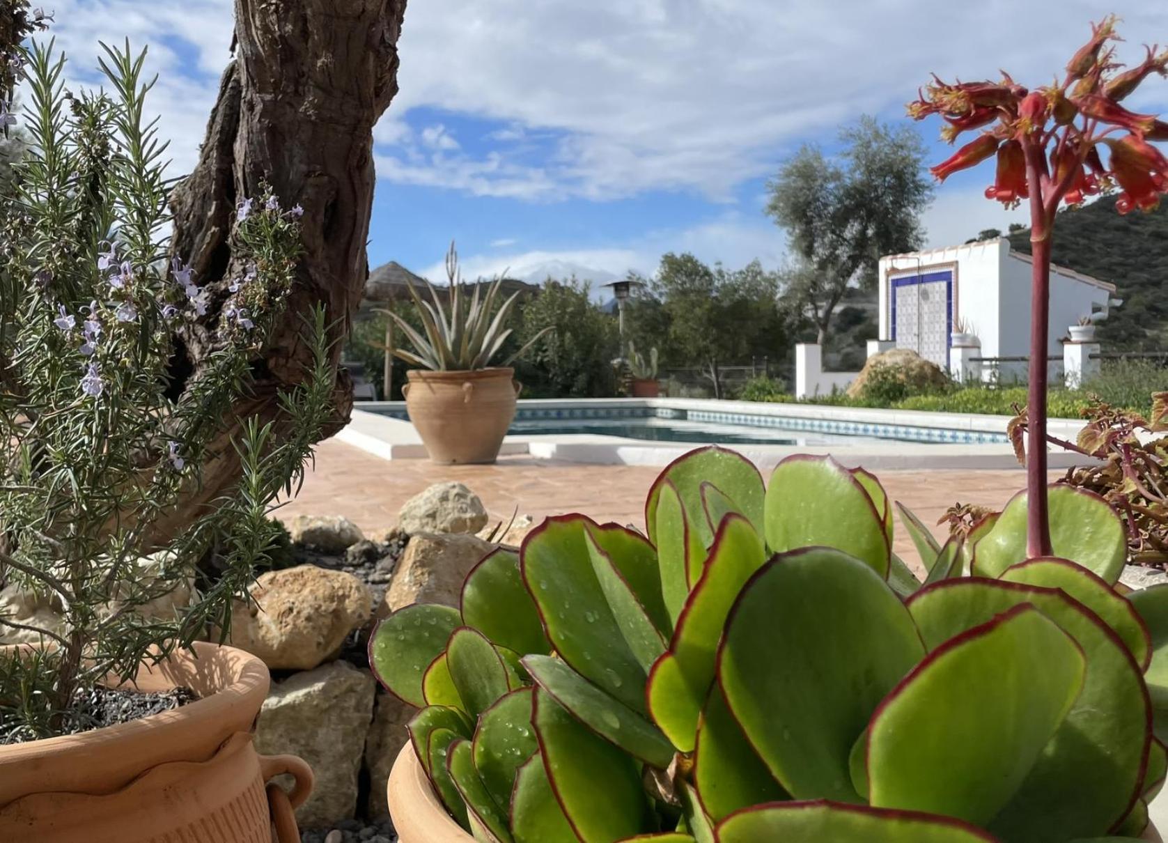 Finca Valle Verde Эль-Чорро Экстерьер фото